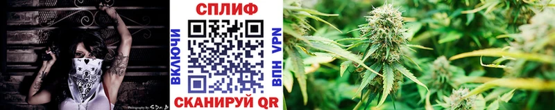 Шишки марихуана OG Kush  ОМГ ОМГ ссылки  Новомосковск 